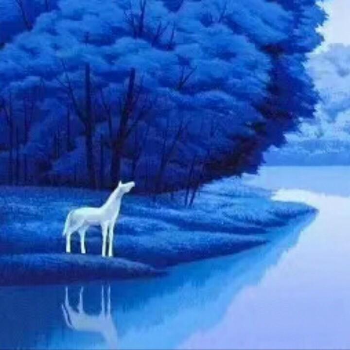 涛涛奶奶