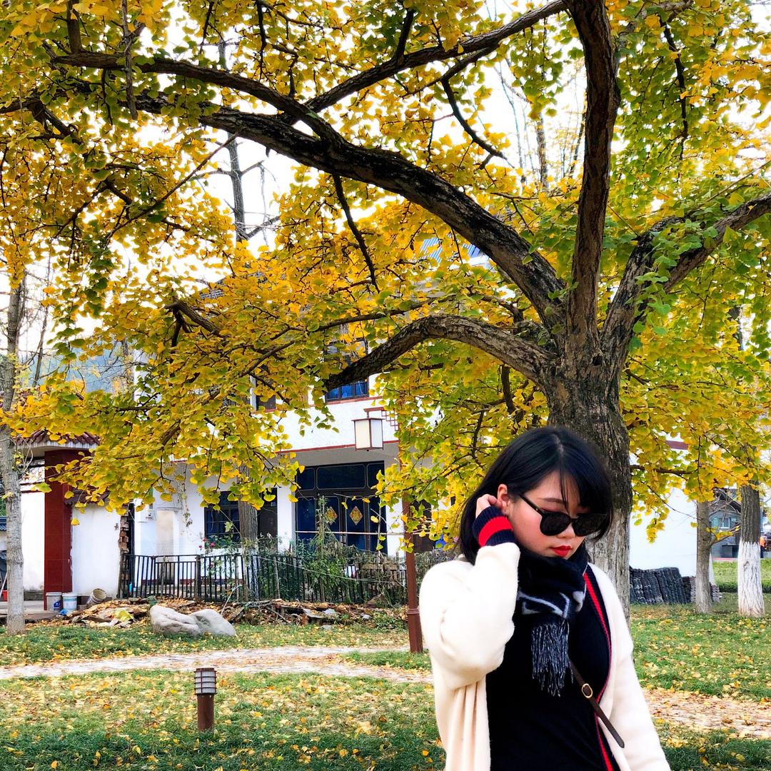 黄跳跳朋友圈