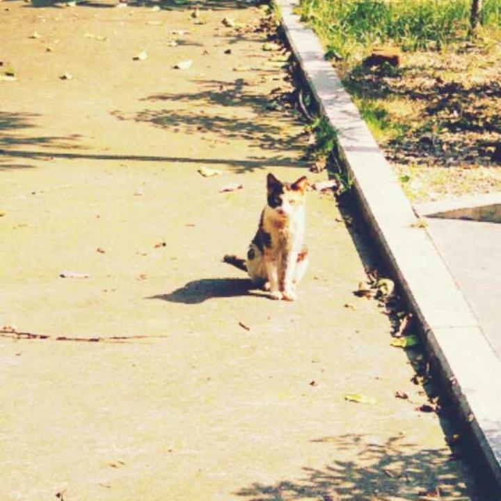 我不是小熊