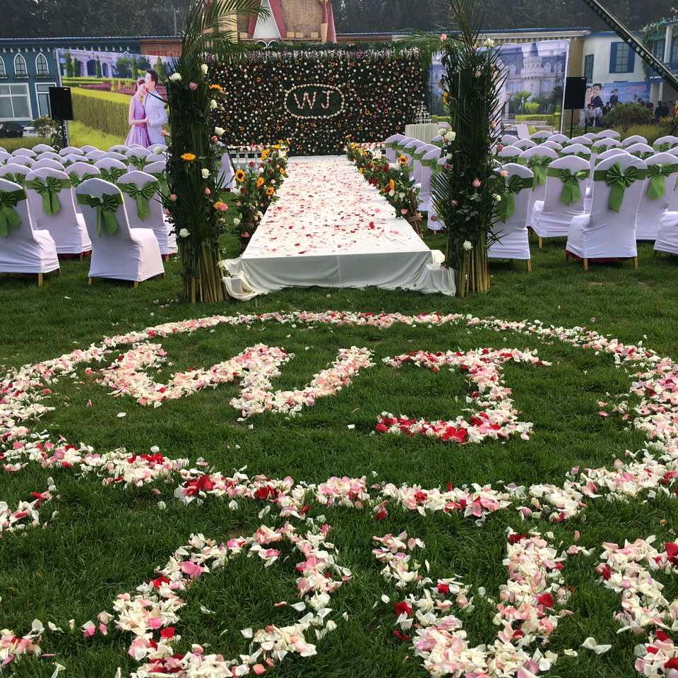 涿州市天天鲜花批发