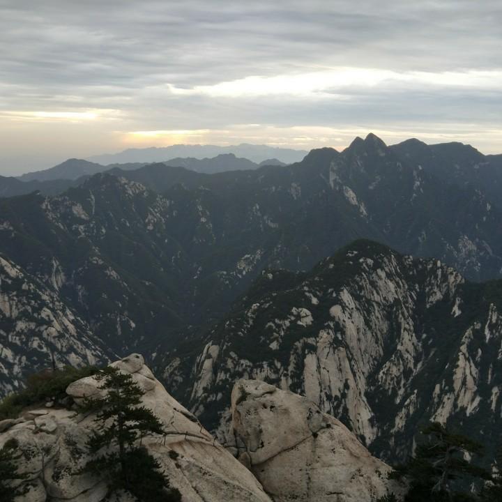 一丝柔情