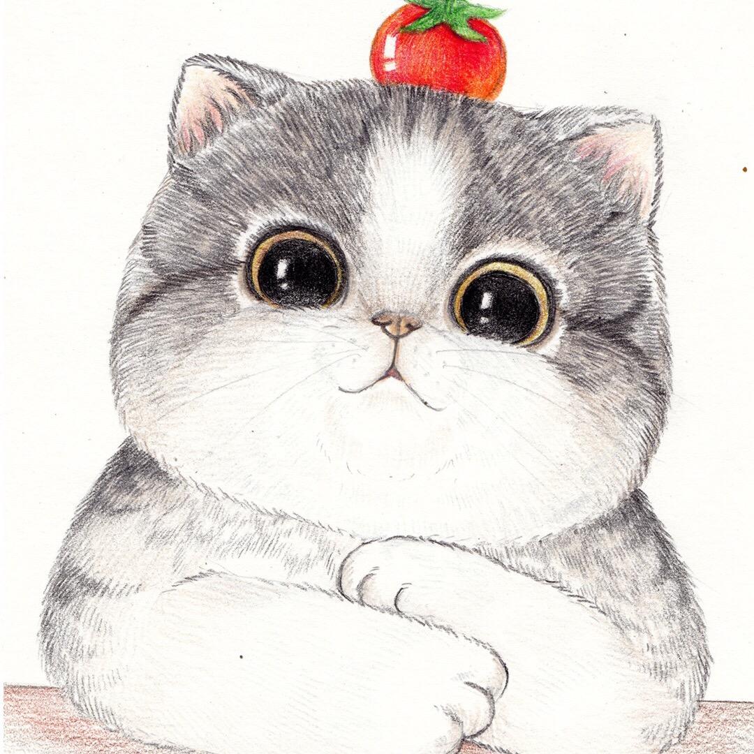 贾佳佳