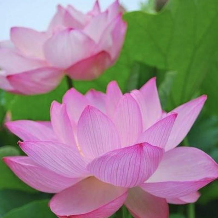☞ 开 心 每 一 天 ☜