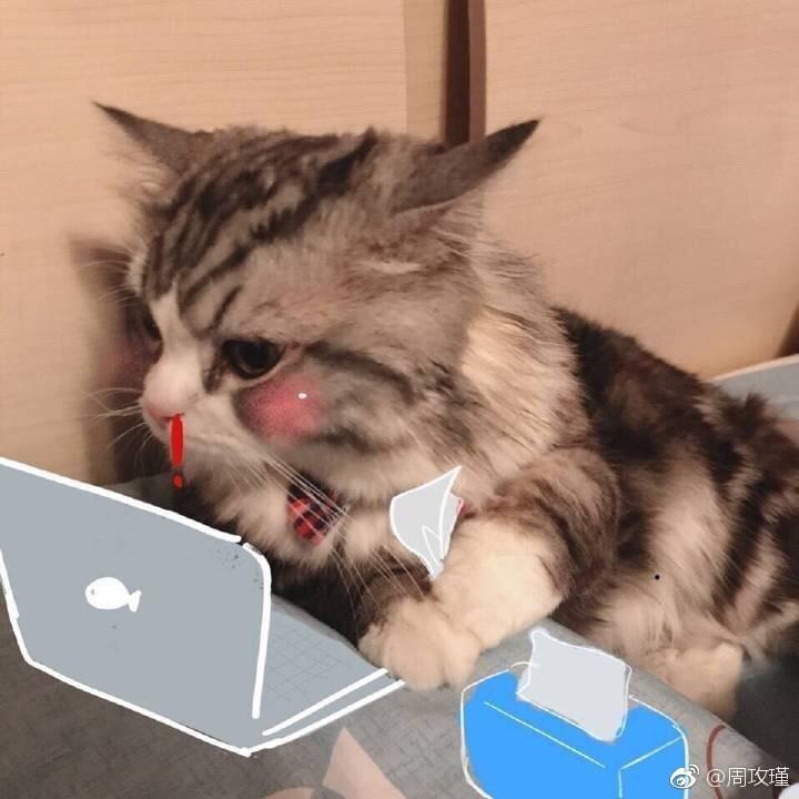 真君不要跑