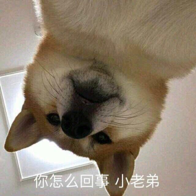 岁月纯真宛如初见