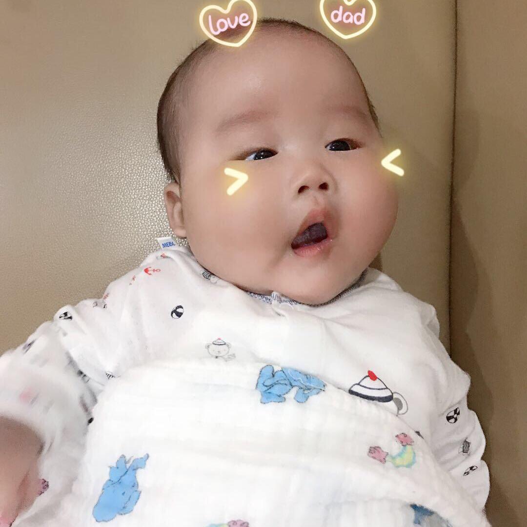 吾林萌主