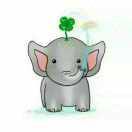 时光取名不取名