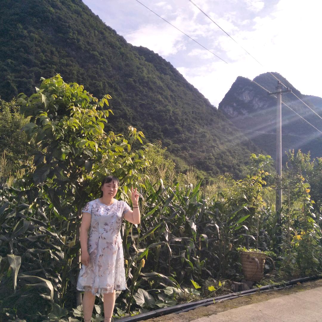 杨幺妹