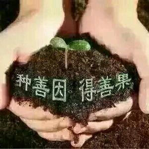 风尚（考场教练）