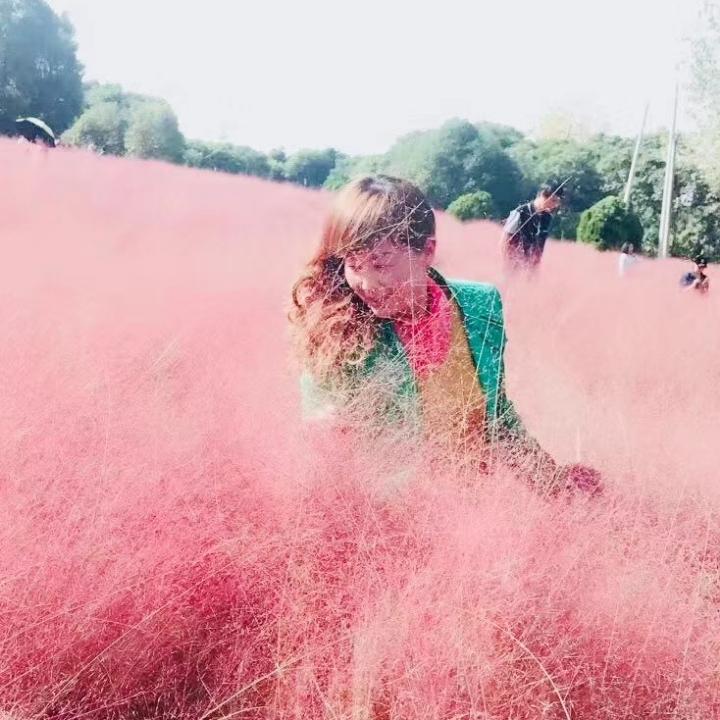 英子（橱窗好物下单）
