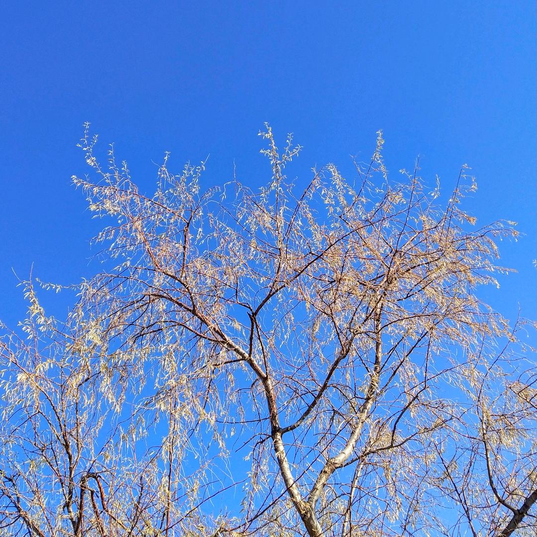 无