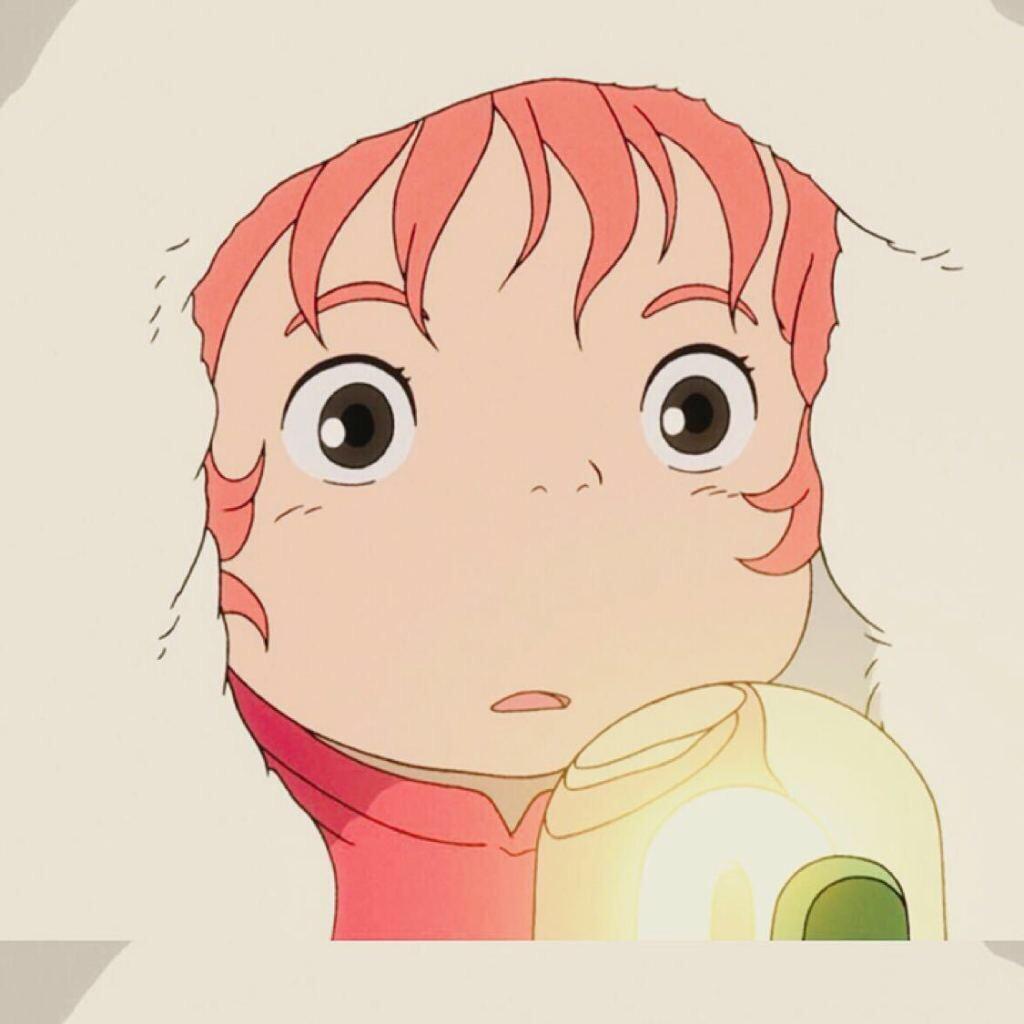 小猫小狗爱好者联盟