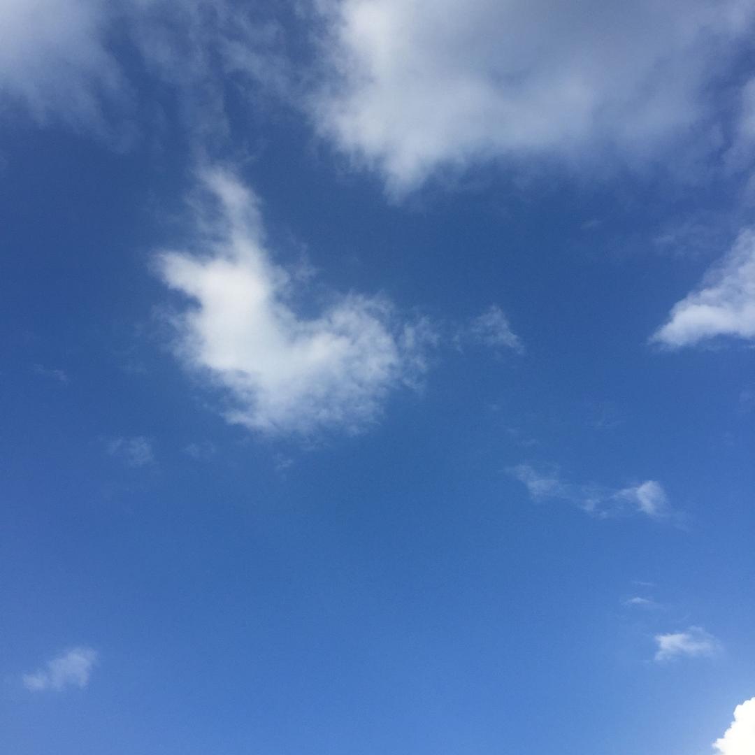 金意陶瓷砖