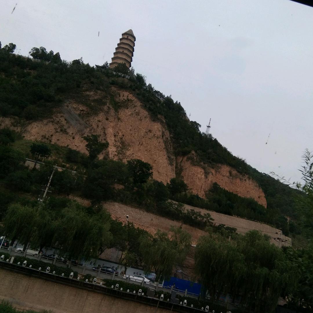 绿洁洗涤
