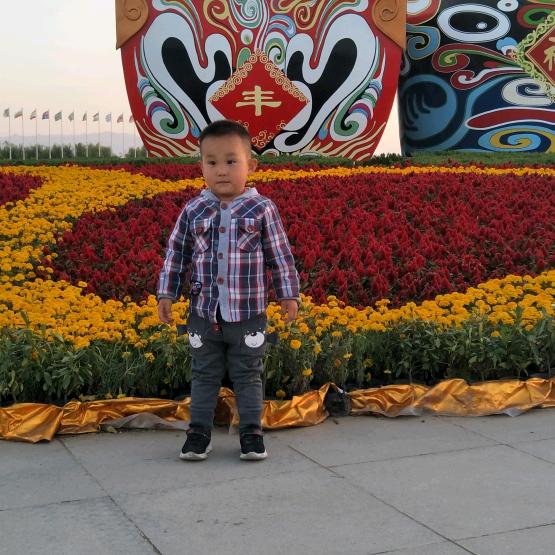 爱情没有回头路