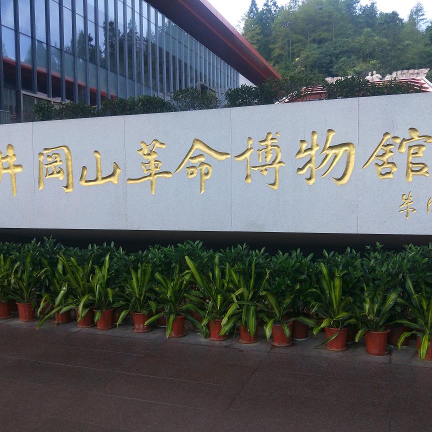 明天会更好