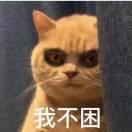 熬夜小狗