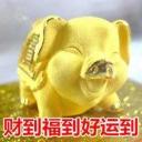 泽润齐天