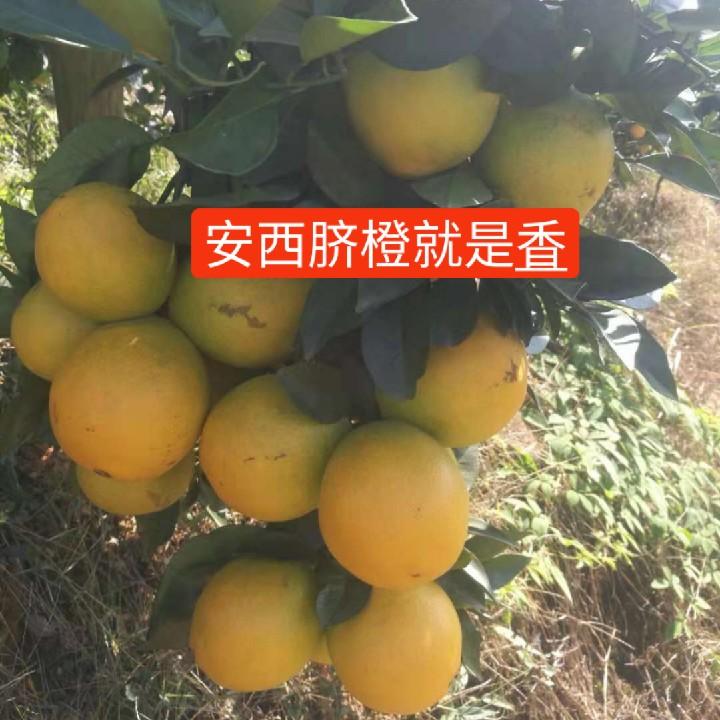 友谊@知@清