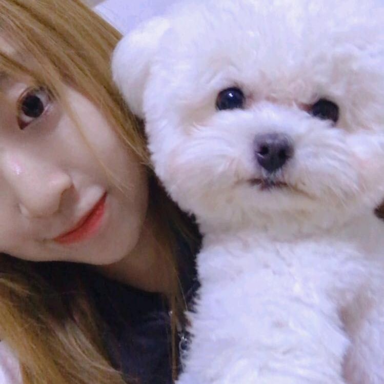 ˚₊· ͟͟͞͞➳❥李先生家的小叶子