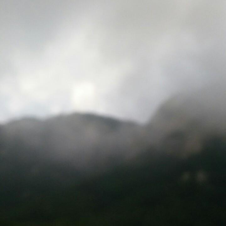 杞县袁维博日杂百货