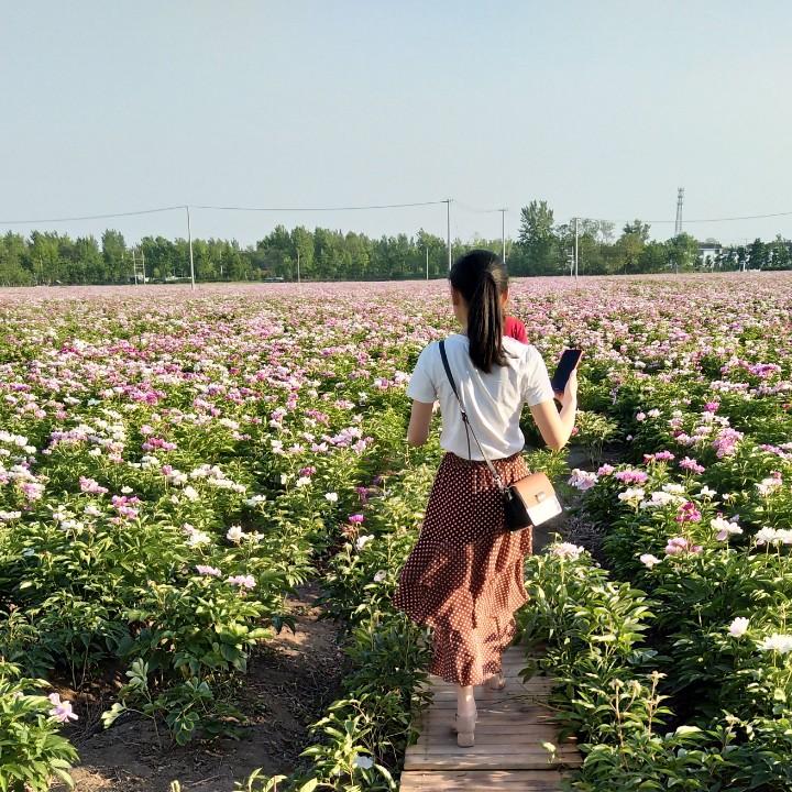梦清凉
