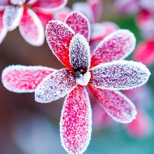 快乐一生——橱窗有好物