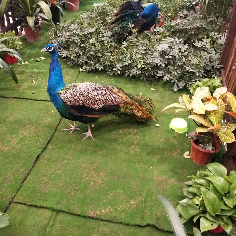 明天会更好