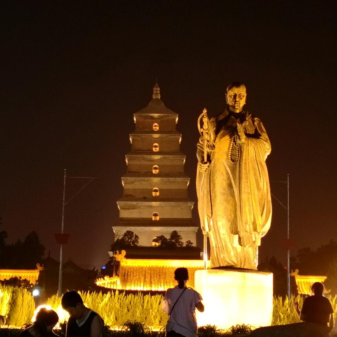 一只小灰灰