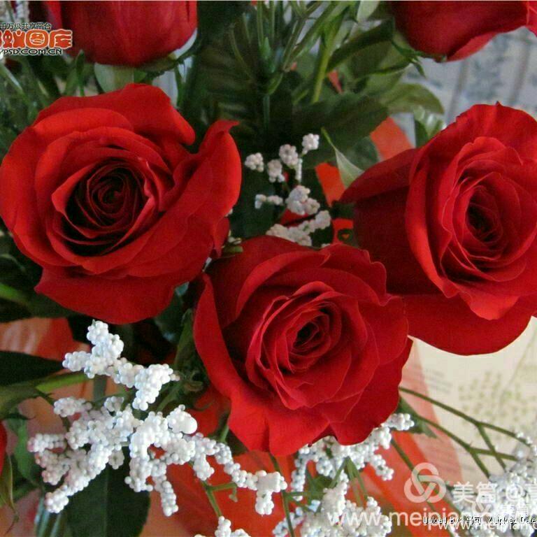 同一个世界同一个梦想