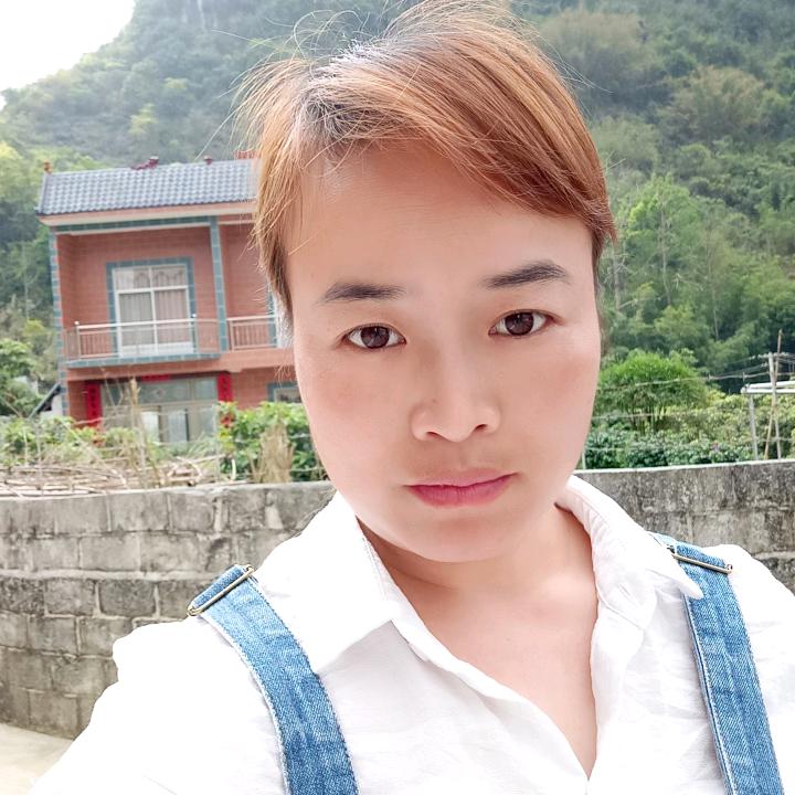枫🍁叶