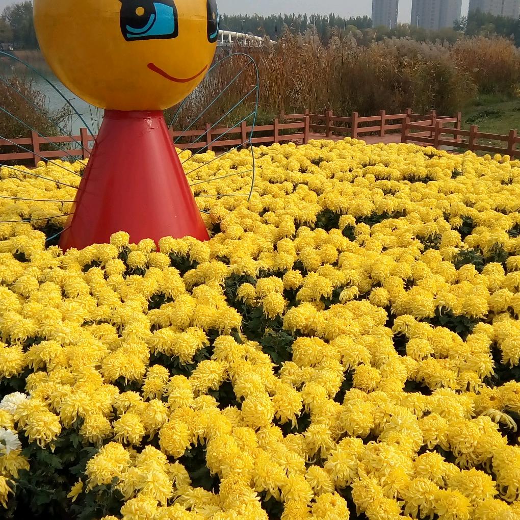 日出东方