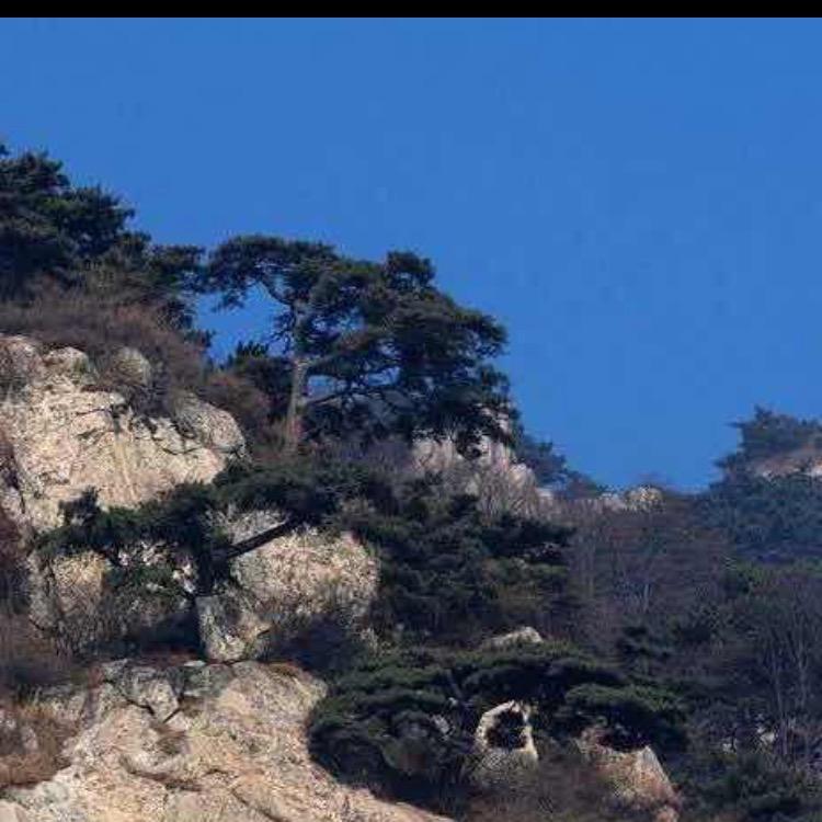 华山论剑🐬🐬🐬