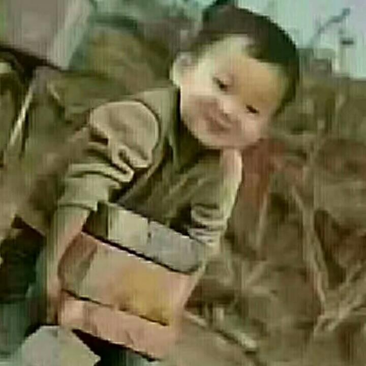 成都大树加气砖厂