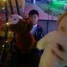 罗马世家窗帘布艺墙布