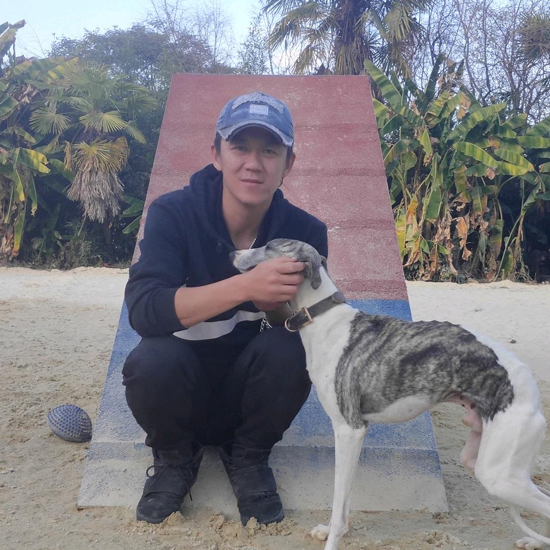 狼爸和他的毛孩子们