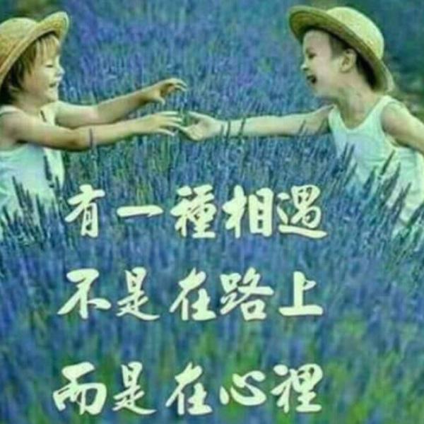 随缘_
