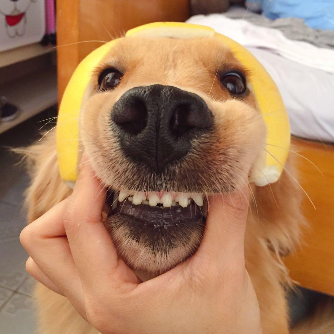 端午