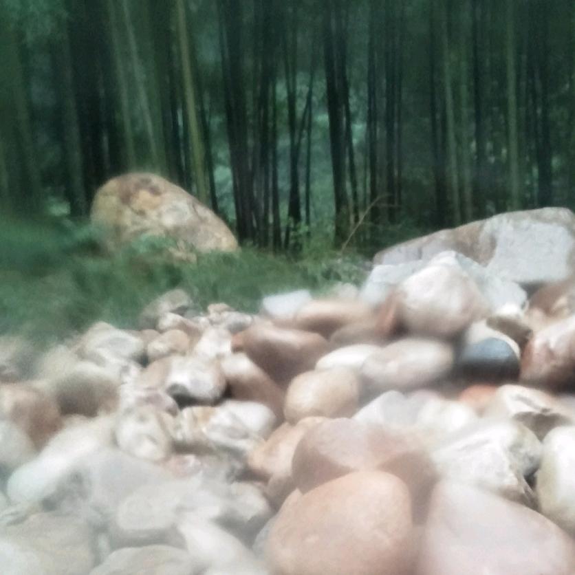 顺其自然随遇而安