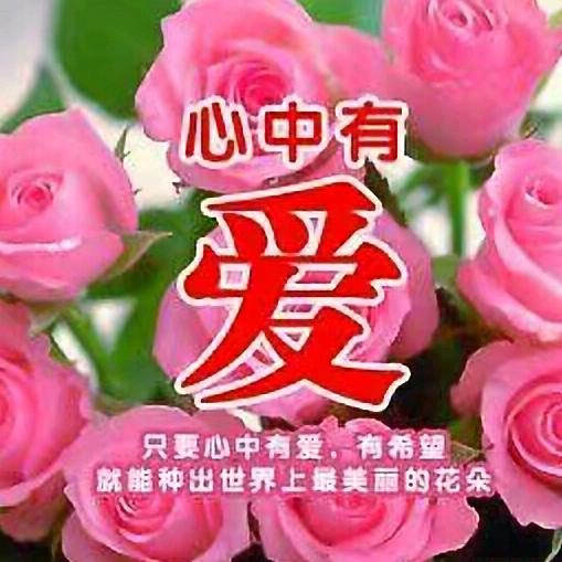 芸姐