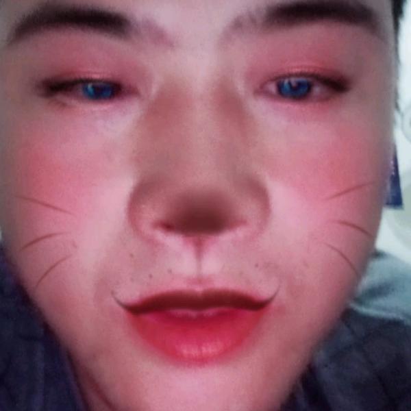 骑着蜗牛给你画大饼