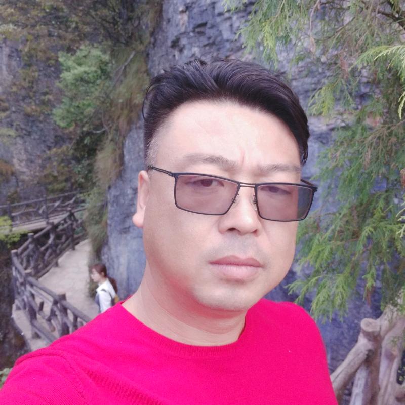 指尖上的猫