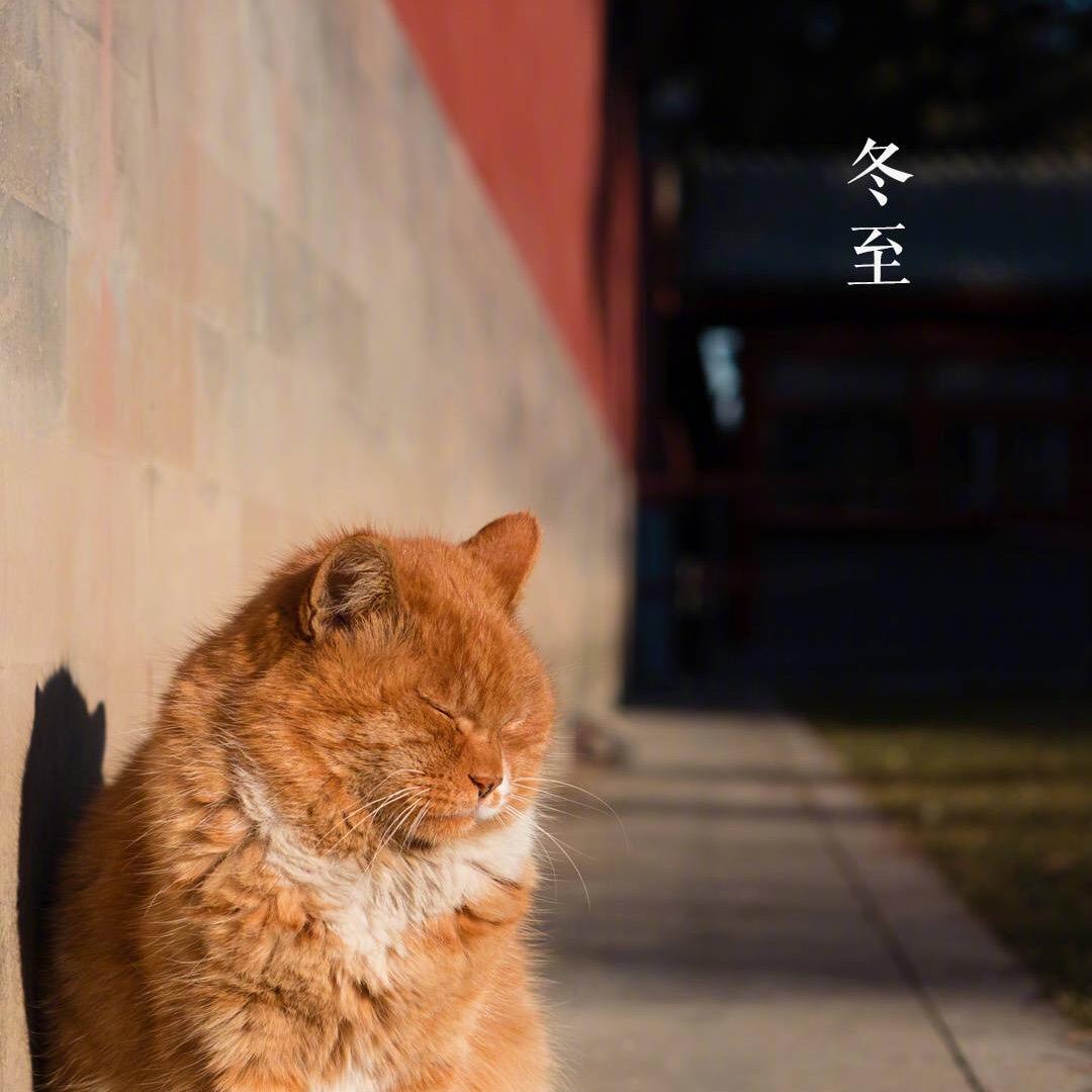 洋芋丝