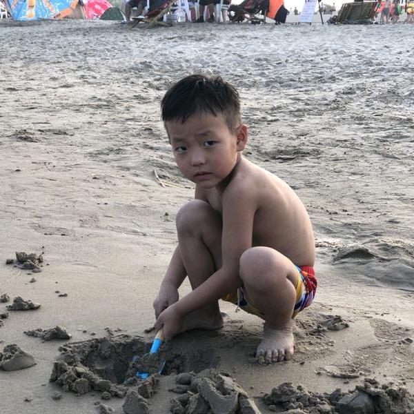 孤独滴狼