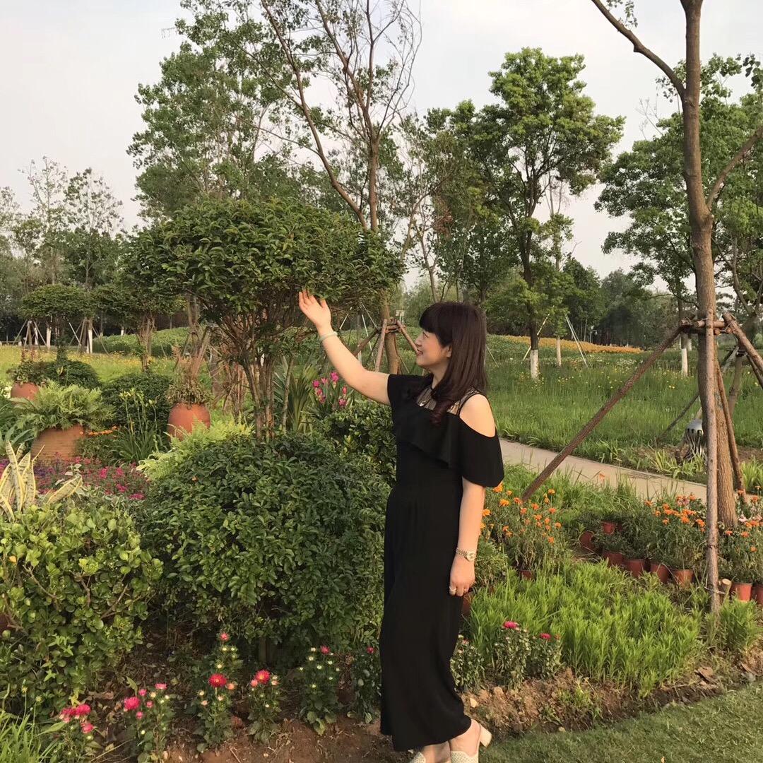 芹姐姐