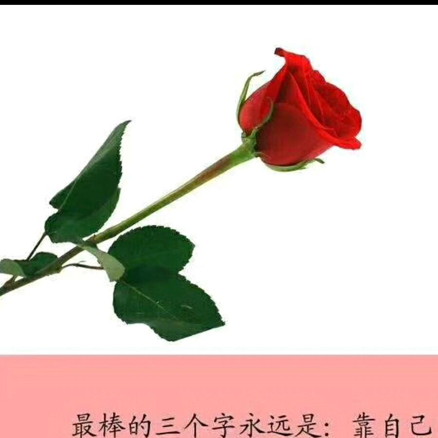 🍁美好心灵🍁