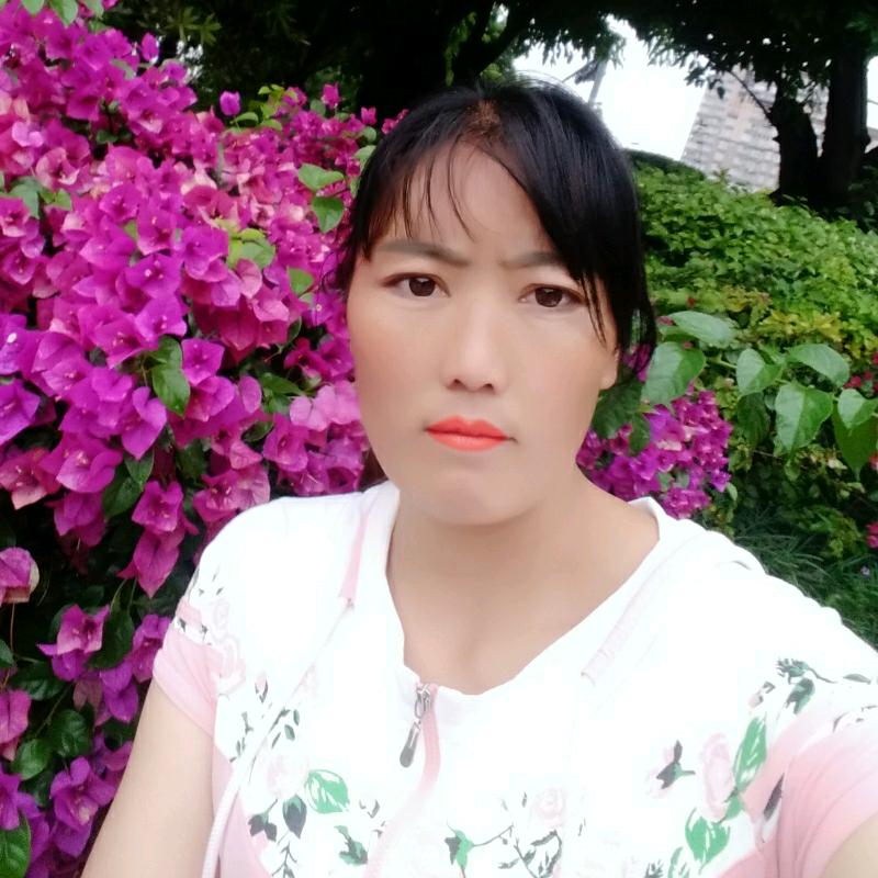 雨中散步