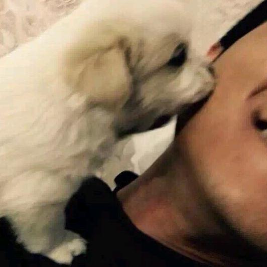 鄂尔多斯14-36米高空作业设备租赁