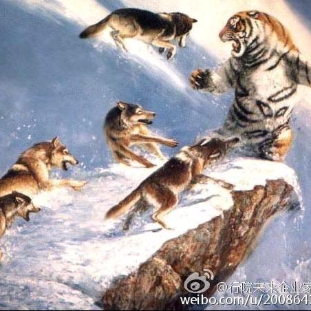 追风的男孩