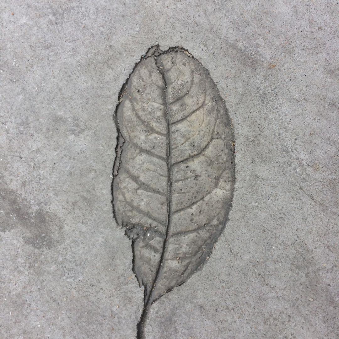 嘉兴-洋.装修设计